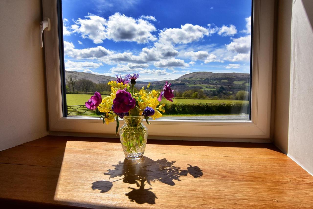Chic Cottage Near Elan Valley And Builth Wells Llanwrthwl Exterior photo